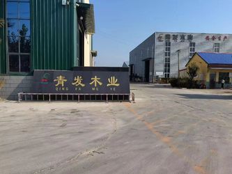 Heze Qingfa Enterprises Co., Ltd.