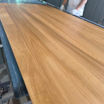 High Gloss UV Coating Poplar Board with FSC Certification and Moisture Content 8%-12%