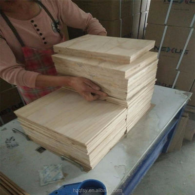 Unisex ABS Paulownia Board Showcase Taekwondo Breaking Prowess