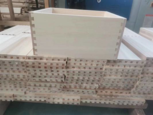 Upgrade Your Beekeeping Equipment with Modern Beehive Box 4 Frames and 7 Frames Included