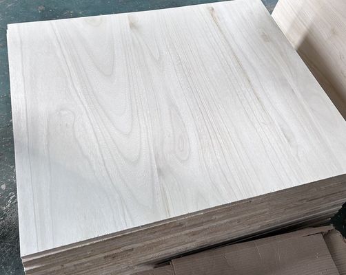 FSC Certified Paulownia Wood Table Panel in 2440x1220 or 1200x600 or Customized Size
