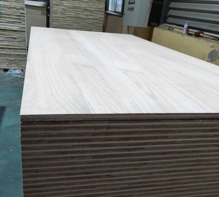 FSC Certified Paulownia Wood Table Panel in 2440x1220 or 1200x600 or Customized Size