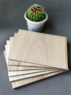 Martial Arts Boards 225x300mm Paulownia Breaking Wood Board within 3-30MM Thickness