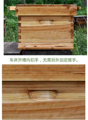 Beekeeping Tools After-sale Service Online Technical Support Project Solution Capability
