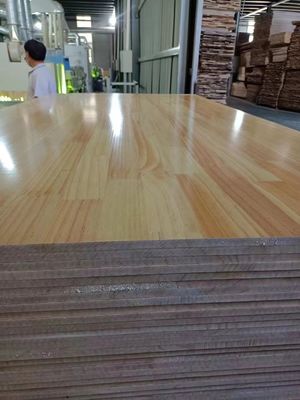 480-510kg/m3 Pine Lumber 18mm Finger Jointed Radiata Pine Solid Planks for Furniture
