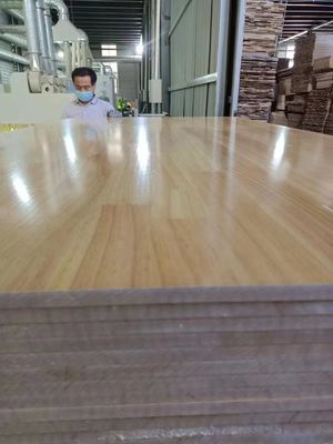 480-510kg/m3 Pine Lumber 18mm Finger Jointed Radiata Pine Solid Planks for Furniture