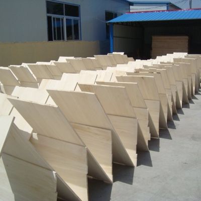 Environmentally Friendly Paulownia Solid Wood Board Panel Lumber for Modern Design