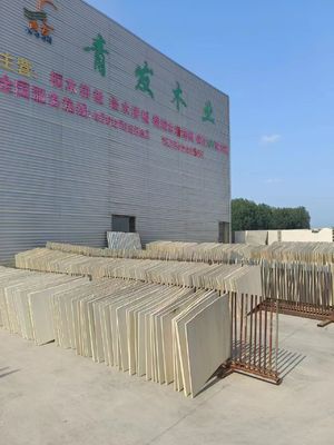 Bleach Paulownia Edge Glued Panels Length 2000mm / 2440mm / 2500mm / 3050mm / 3660mm