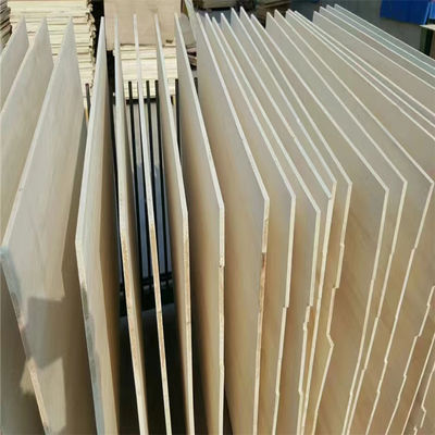 2440x1220x18mm White Poplar Solid Boards for Project Solution Capability AA Grade