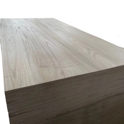 Paulownia Wood Boards with Free Sample Moisture Content 8%-12% Modern Design Style