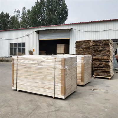 Paulownia Wood for Furniture Board Contemporary Design and Workshop Craftsmanship